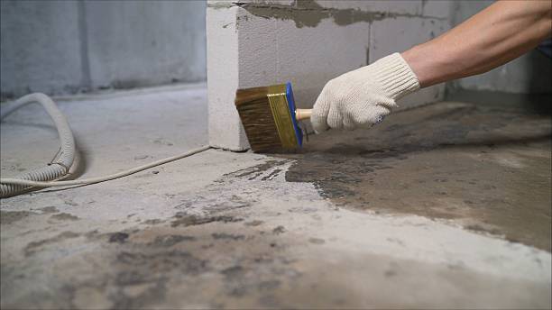 SJ Waterproofing Pros Waterproofing coverage map for Elberta, AL and surrounding area